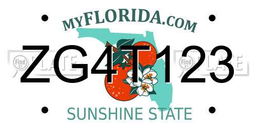 ZG4T123 Florida License Plate