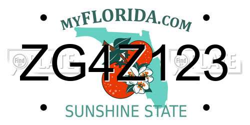 ZG4Z123 Florida License Plate