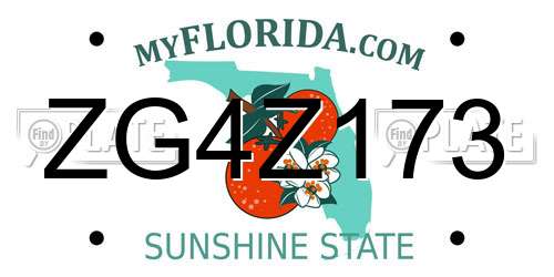 ZG4Z173 Florida License Plate