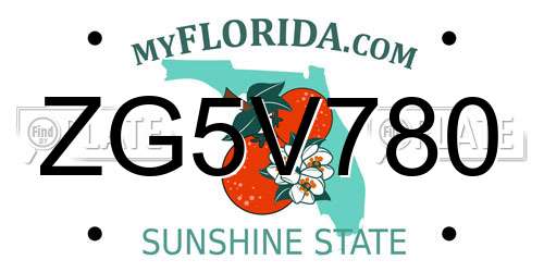 ZG5V780 Florida License Plate