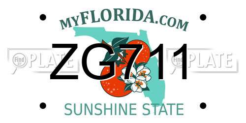ZG711 Florida License Plate