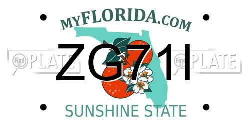 ZG71I Florida License Plate