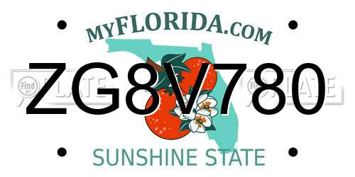 ZG8V780 Florida License Plate