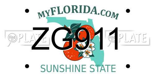 ZG911 Florida License Plate