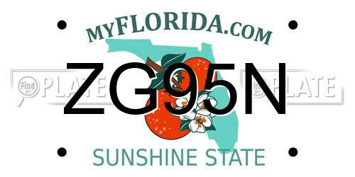 ZG95N Florida License Plate