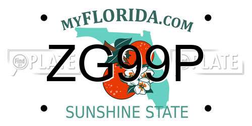 ZG99P Florida License Plate