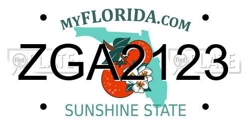 ZGA2123 Florida License Plate