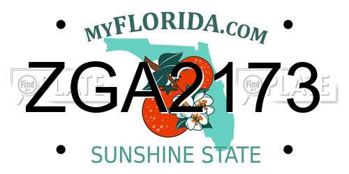 ZGA2173 Florida License Plate