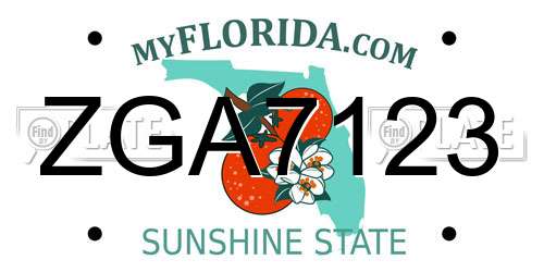 ZGA7123 Florida License Plate