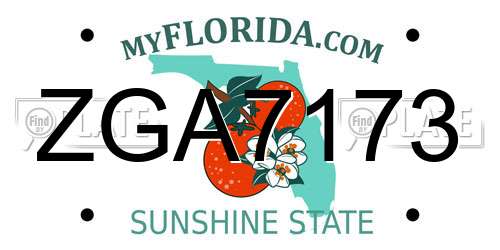 ZGA7173 Florida License Plate