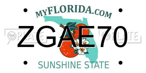ZGAE70 Florida License Plate