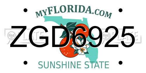 ZGD6925 Florida License Plate
