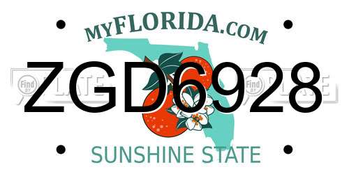 ZGD6928 Florida License Plate