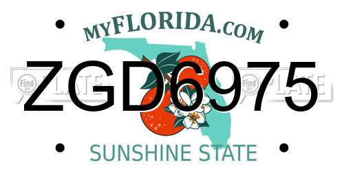 ZGD6975 Florida License Plate