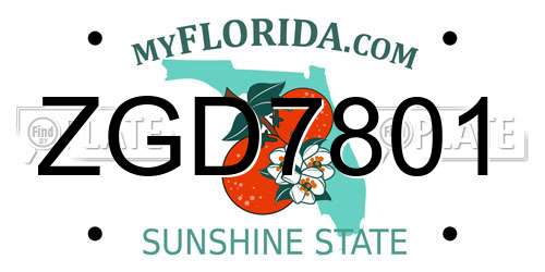 ZGD7801 Florida License Plate