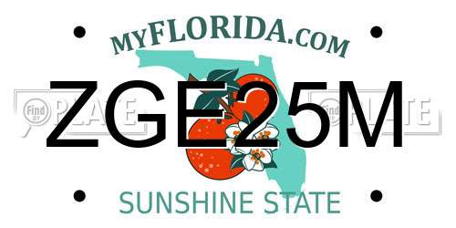 ZGE25M Florida License Plate