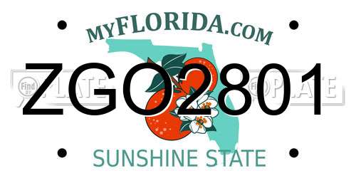 ZGO2801 Florida License Plate