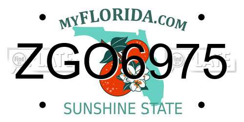 ZGO6975 Florida License Plate