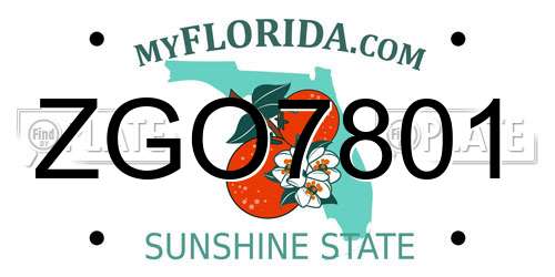ZGO7801 Florida License Plate