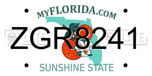 ZGR8241 Florida License Plate