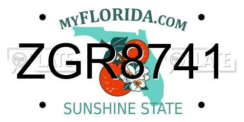 ZGR8741 Florida License Plate
