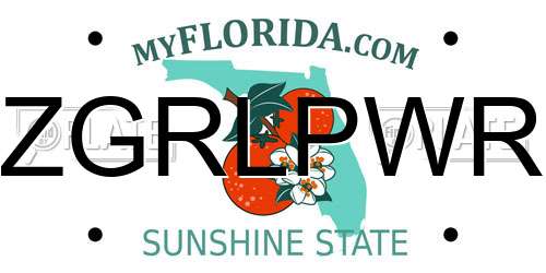 ZGRLPWR Florida License Plate
