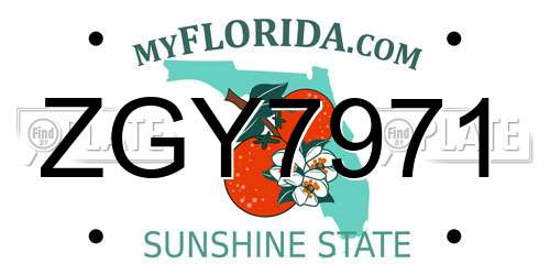ZGY7971 Florida License Plate