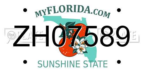 ZH07589 Florida License Plate