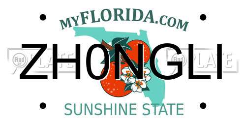 ZH0NGLI Florida License Plate