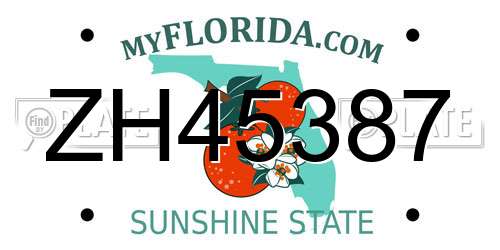 ZH45387 Florida License Plate