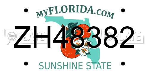 ZH48382 Florida License Plate