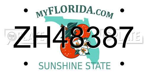 ZH48387 Florida License Plate