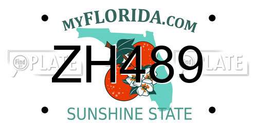 ZH489 Florida License Plate