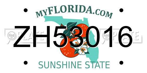 ZH53016 Florida License Plate