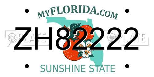 ZH82222 Florida License Plate