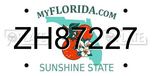 ZH87227 Florida License Plate