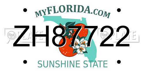 ZH87722 Florida License Plate