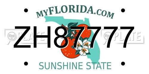 ZH87777 Florida License Plate