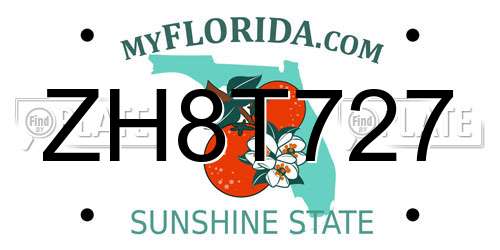 ZH8T727 Florida License Plate