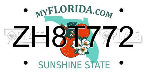 ZH8T772 Florida License Plate