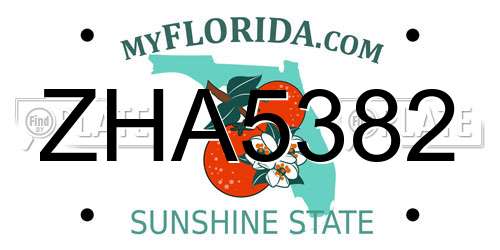 ZHA5382 Florida License Plate