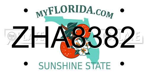 ZHA8382 Florida License Plate