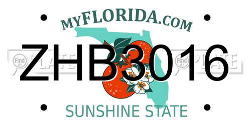 ZHB3016 Florida License Plate