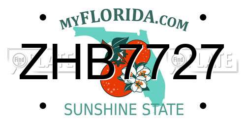 ZHB7727 Florida License Plate