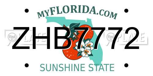 ZHB7772 Florida License Plate