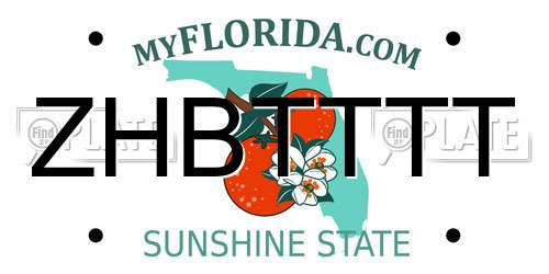 ZHBTTTT Florida License Plate
