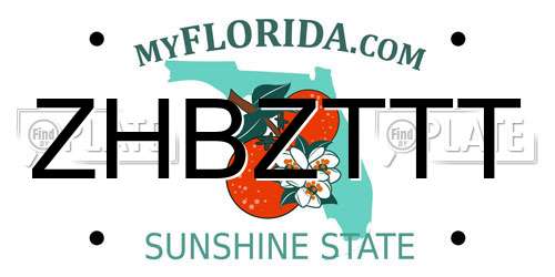 ZHBZTTT Florida License Plate