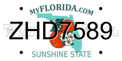 ZHD7589 Florida License Plate