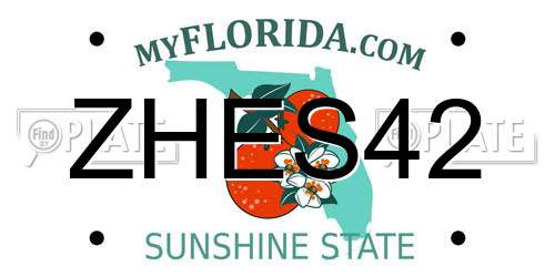 ZHES42 Florida License Plate