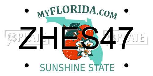 ZHES47 Florida License Plate